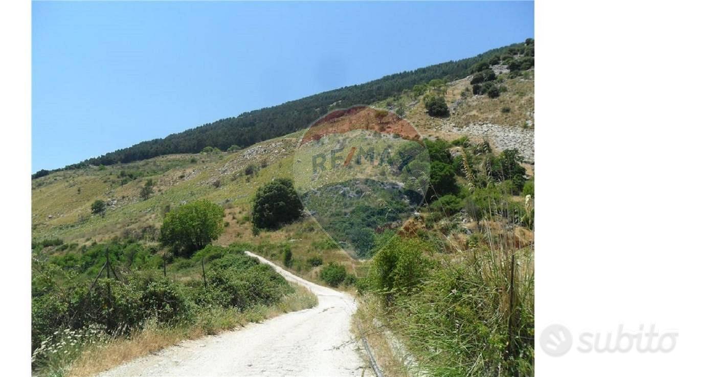Terreno - San Giovanni Gemini - Vista 5