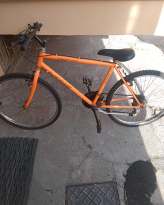 Bicicletta 