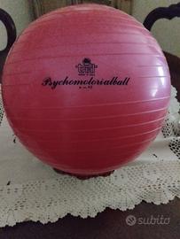 pallone ginnastica Psychomotorialball