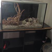 Acquario terrario 150 litri