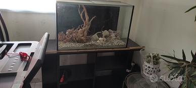 Acquario terrario 150 litri