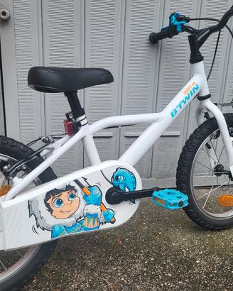bicicletta