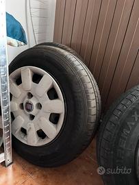 Gomme e cerchi Fiat panda