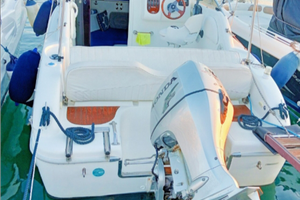 Barca Sessa Islamorada