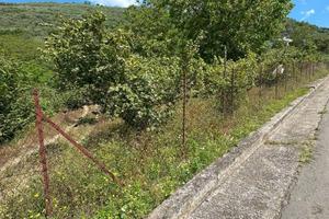 Terreno di 3270 m² a Marzano di Nola