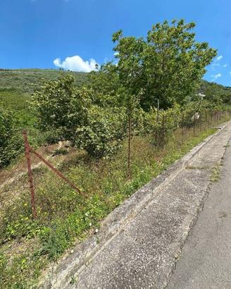 Terreno di 3270 m² a Marzano di Nola