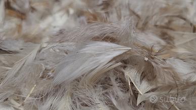 Morbidissimo piumino d'oca