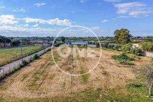 Terreno di 1818 m² a Nettuno