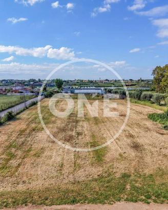 Terreno di 1818 m² a Nettuno
