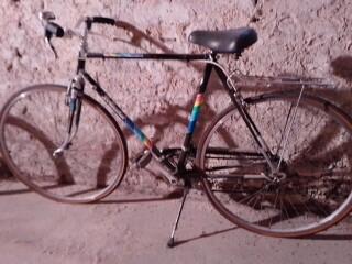 Bicicletta Bottecchia da uomo Ruota da 28