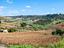 Immagine 29