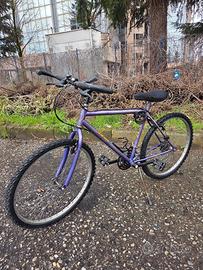 bici pronta all'uso