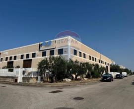 Capannone Industriale - Modugno