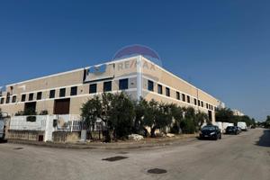 Capannone Industriale - Modugno