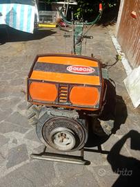 Motozappa Goldoni special 140
