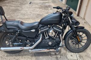 Harley Davidson 883 Iron
