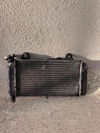 Radiatore mt 03 660