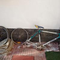 Legnano Mountain bike