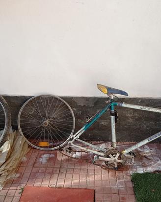 Legnano Mountain bike