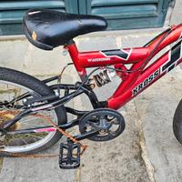 Mountain Bike ammortizzata SNAKE  da sistemare