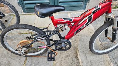 Mountain Bike ammortizzata SNAKE  da sistemare