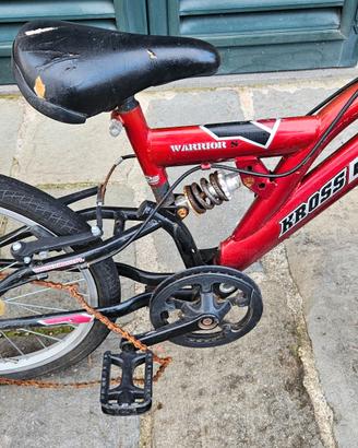 Mountain Bike ammortizzata SNAKE  da sistemare