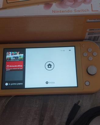 Nintendo switch lite 