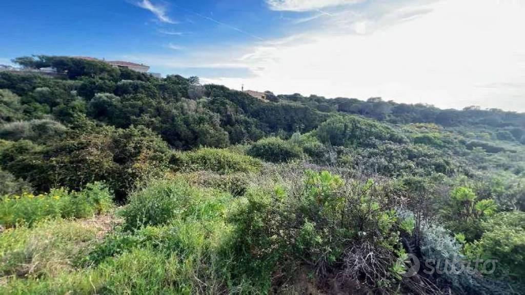 Immobile in asta di 3033 m² a Santa Teresa Gallura - Vista 3