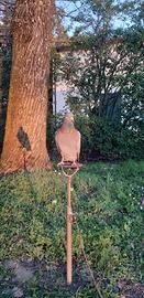 Piccioni addestrati sulla racchetta