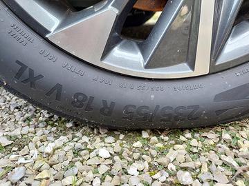 Gomme Estive Tucson