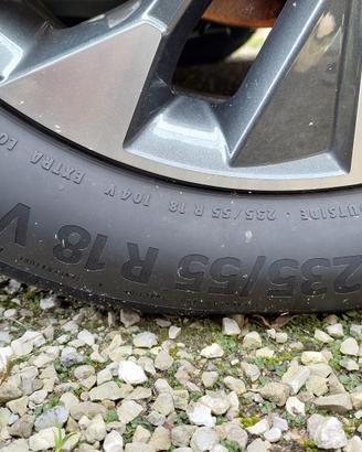 Gomme Estive Tucson