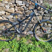 norco aurum dh