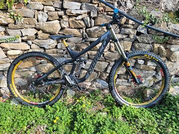 norco aurum dh