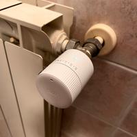 3 teste termostastiche Tadoº originali