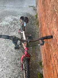 Bicicletta per bambini
