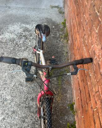Bicicletta per bambini
