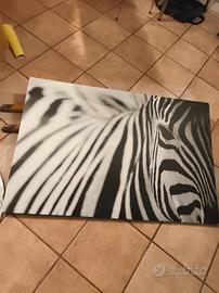 quadro di zebra