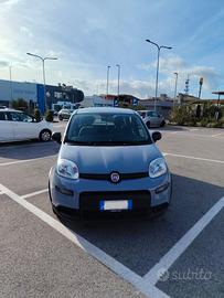 FIAT Panda 1.0 FireFly S&S Hybrid – Pari al Nuovo 
