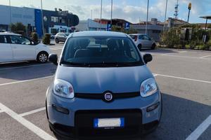 FIAT Panda 1.0 FireFly S&S Hybrid – Pari al Nuovo 
