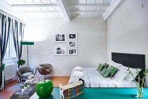 Appartamento di 25 m² a Firenze