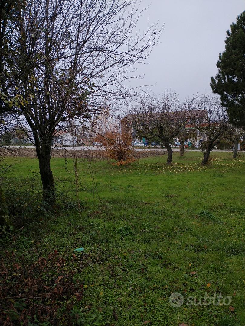 Terreno con Casolare Cercemaggiore - Altro