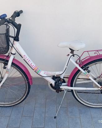 bicicletta