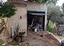 Immagine 18