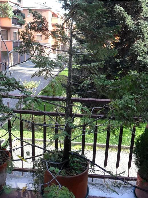 Appartamento – Verderio, Lecco - Vista 4