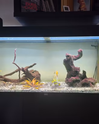 Acquario Juwel Rio 240 originale completo
