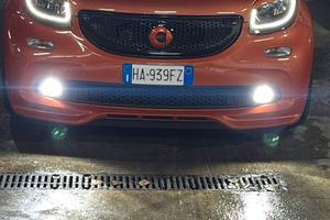 Solo contatto whatsapp