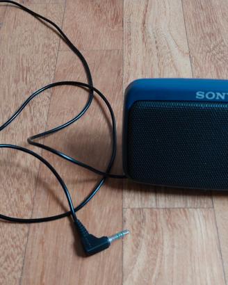 Piccola cassa Sony