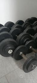 Manubri per palestra