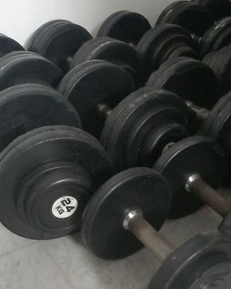 Manubri per palestra