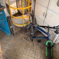 Bicicletta Risciò a tre ruote